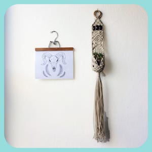 May include: A white macrame plant hanger with a small potted plant inside. The hanger is hanging from a wooden dowel rod with a ring at the top. The hanger has a long tassel at the bottom. A black and white line drawing of a ram skull is hanging on the wall next to the plant hanger.