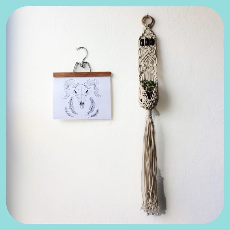 May include: A white macrame plant hanger with a small potted plant inside. The hanger is hanging from a wooden dowel rod with a ring at the top. The hanger has a long tassel at the bottom. A black and white line drawing of a ram skull is hanging on the wall next to the plant hanger.