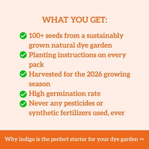 Op de afbeelding: Een oranje en witte afbeelding met de tekst "WAT JE KRIJGT:" gevolgd door een lijst met kenmerken, waaronder 100+ zaden, plantinstructies en een hoge kiemkracht. De tekst "Waarom indigo de perfecte starter is voor je verftuin >>" staat onderaan.