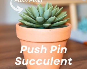 Push Pin Succulent 3D Printed Plant | Each Stem Is A Push Pin Fake House Plant For People Who Can't Keep House Plants Alive Decor