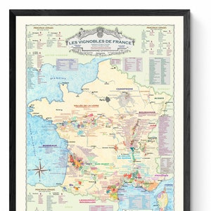 Mapa del vino de Francia: una guía sobre los vinos y las variedades de uva de Francia