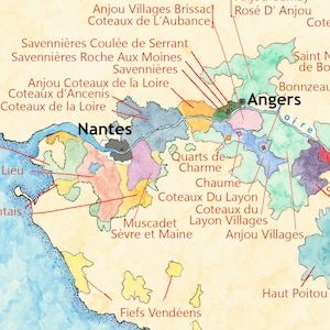 Carte des vins de France, guide des vins et cépages de France image 8