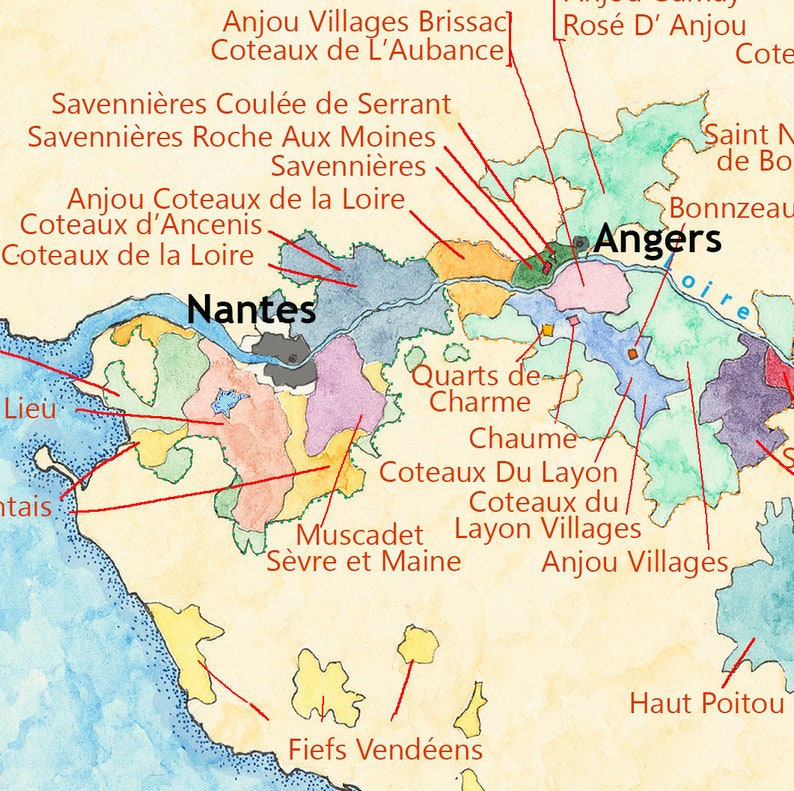 Carte des vins de France, guide des vins et cépages de France image 8