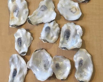 48 Medium Oyster Shells Cup Side 2.75-4 Inch No Smell Art Craft