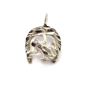 Vintage Sterling Silver Frog on a Horseshoe Pendant, Lucky Charm, amphibian lover gift
