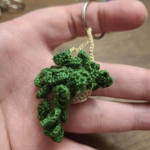 May include: A handmade crochet keychain featuring a miniature green plant. The plant has detailed, textured leaves and is attached to a small, beige pot. A silver keyring and a beige chain complete the design. The keychain is a unique accessory.