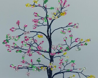 T1002 - Kirschgelb Blush Medium Bonsai Baum