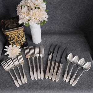 Könnte beinhalten: Eine Sammlung von Vintage-Silberbesteck, darunter Gabeln, Messer und Löffel, auf einer grauen Oberfläche angeordnet. Das Besteck ist silberfarben und weist dekorative Details auf. Eine weiße Vase mit weißen Blumen und eine dekorative Dose sind ebenfalls vorhanden.