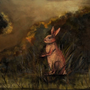 May include: A brown rabbit sits in a field of tall grass. The rabbit is looking to the right of the image. The background is a blurry forest with a hazy sky.