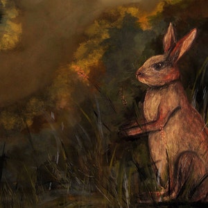 May include: A brown rabbit sits in tall grass, looking to the right. The background is a blurry, dark green and brown.