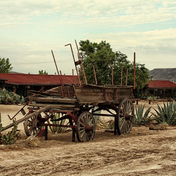 Pioneer Town Wagon Digital Download By Karen Harrison Brown