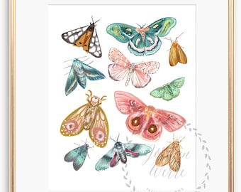 Puede incluir: Una impresión enmarcada que presenta una colección de ilustraciones de polillas coloridas. Las polillas están representadas en varios tamaños y colores, incluyendo tonos de rosa, verde, azul y naranja. La obra de arte está sobre un fondo blanco y enmarcada en un marco dorado.