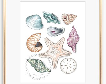 Puede incluir: Una ilustración de acuarela de conchas marinas y una estrella de mar. Las conchas marinas son de varias formas y tamaños, y están pintadas en tonos de azul, verde, rosa y marrón. La estrella de mar es de color rosa claro.