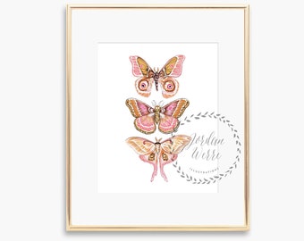 Butterfly Wall Art Print - 3 Butterflies