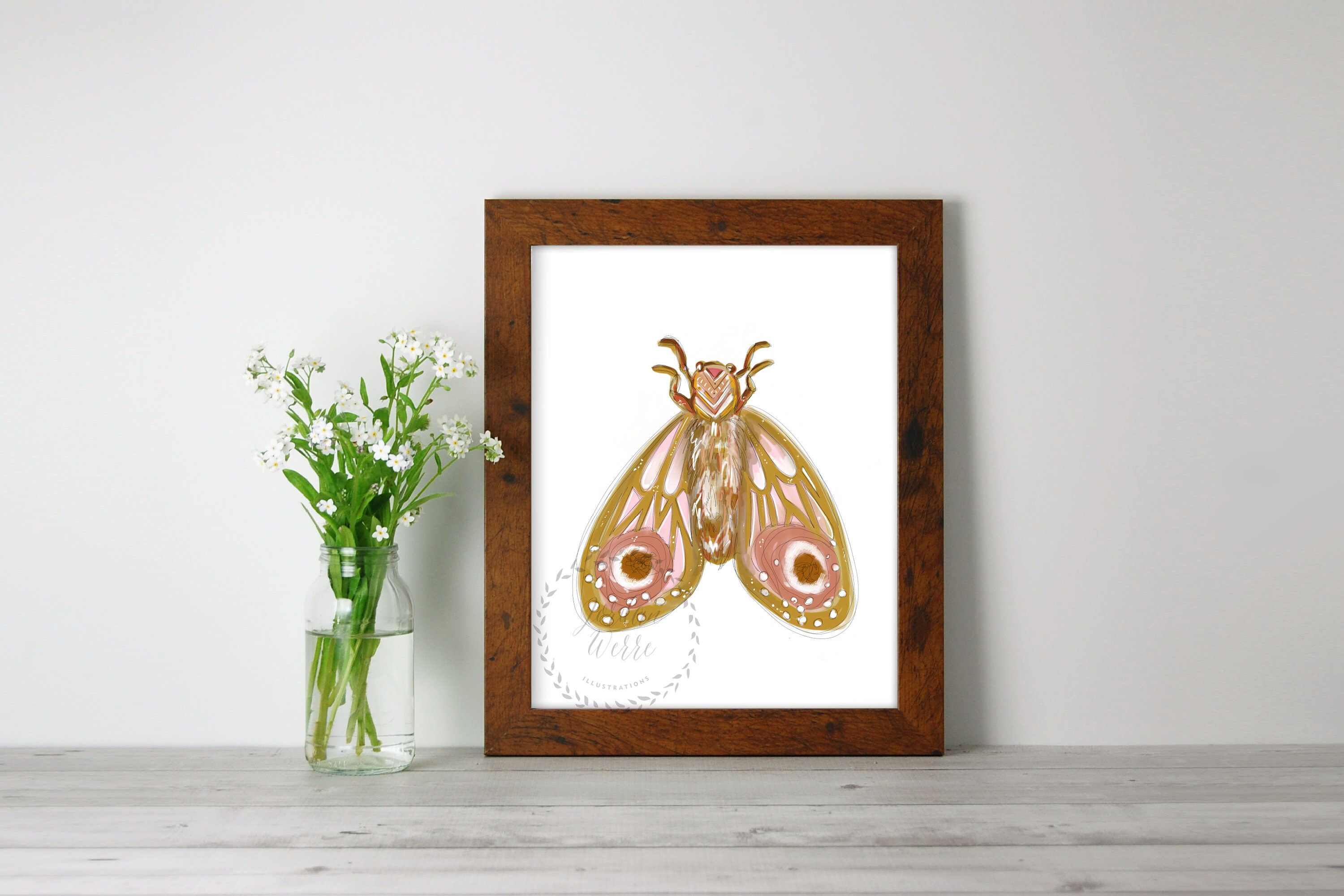 Moth Wall Art Decor - Etsy