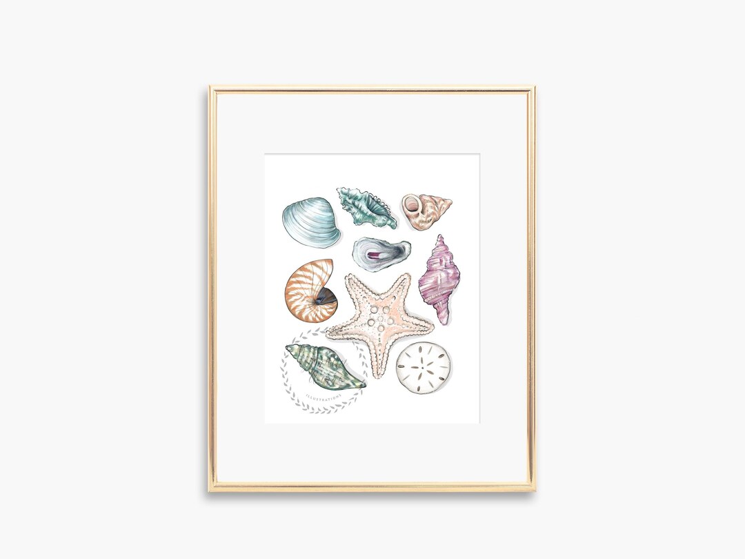 Coastal Art Print - Colorful Sea Shells and Starfish Wall Decor - Etsy