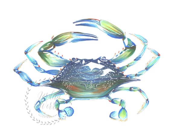 Maryland Blue Crab Illustration: Coastal Wall Art