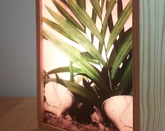 Caixa de luz, colagem, luminária de madeira, luminária decorativa de LED, luminária de LED, planta, caixa de luz para plantas, colagem. #PEDRAS