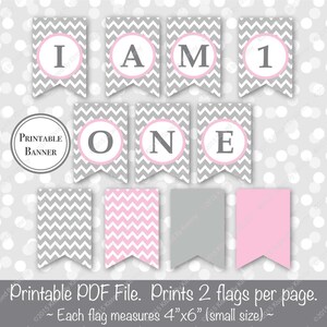 SALE - Gray & Pink 1st Birthday Banner - I am One Banner - I am 1 - Printable Girl Birthday Banner - Light Gray Pastel Pink 22-20