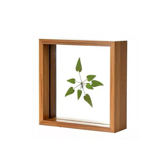 Wood-like Plastic Double Sided Plexiglass Plant Specimens Picture Frame  Desktop Decoration Photo Frames Ornament 