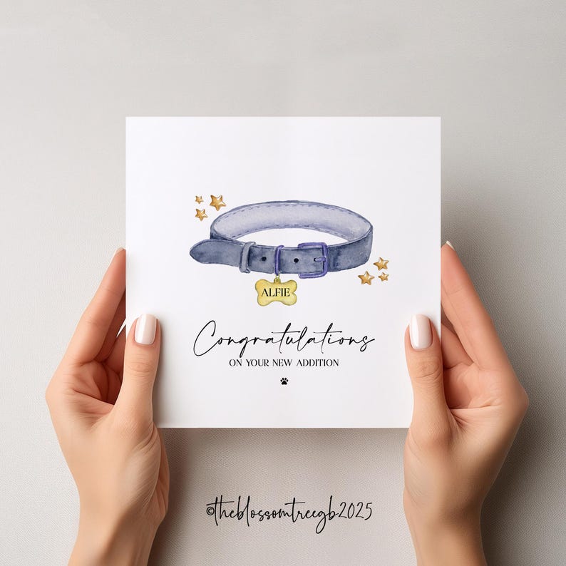May include: A white card with a watercolor illustration of a blue dog collar with a gold tag that says "Alfie". The card has gold stars and the text "Congratulations on your new addition" with a paw print.