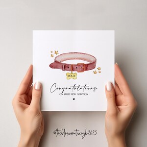 May include: A white card with a watercolor illustration of a red dog collar with a gold tag that says "MOLLY". The card has the text "Congratulations on your new addition" and a paw print.