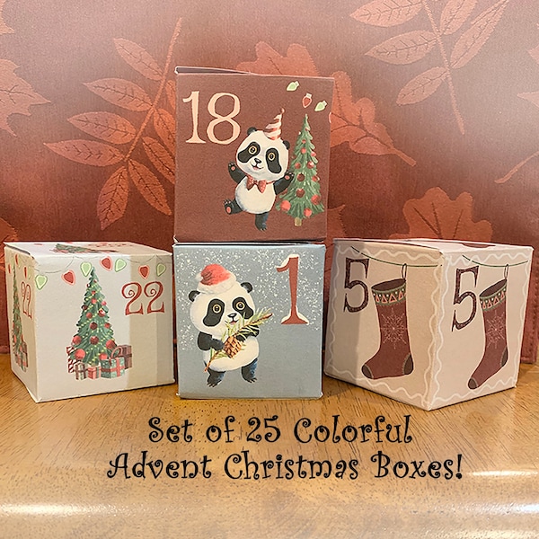 Digital Christmas Advent Boxes, Printable Advent Boxes, Christmas Boxes, Panda Bear Christmas Boxes, Family Christmas Boxes