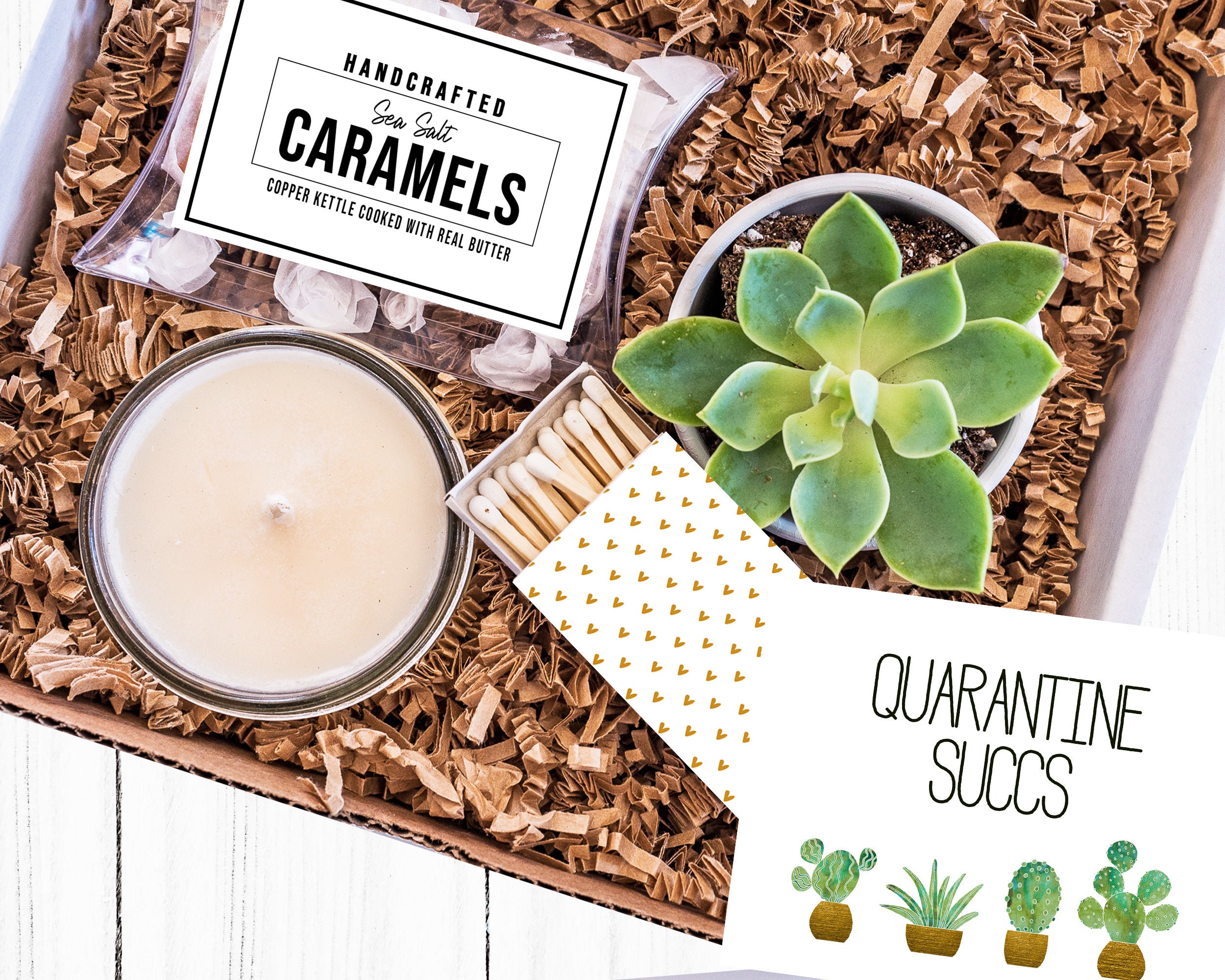 Quarantine Succs| Thinking of You Gift| Succulent Gift Box| Succulent…