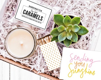 Sending You Sunshine, Gift Box, Succulent Gift, Care Package, Positive Vibes, Healing Vibes, Live Succulent, Succulent and Candle