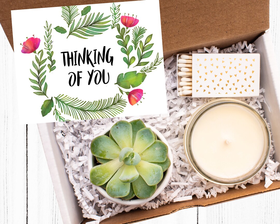 Thinking of You Thinking of You Gift Just Because Gift Succulent Gift