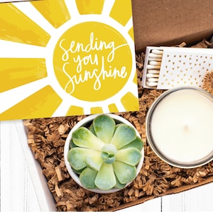 Sending You Sunshine Gift Box, Live Succulent Gift, Friendship Gift, Thinking of You Gift, Send a Gift, Care Package