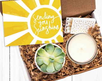 Sending You Sunshine Gift Box, Live Succulent Gift, Friendship Gift, Thinking of You Gift, Send a Gift, Care Package