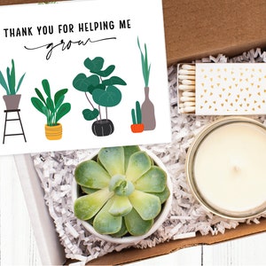 Teacher Thank You Gift| Thank You| Teacher Thank You| Appreciation Gift| Client Thank You| Personalized Gift| Succulent Gift