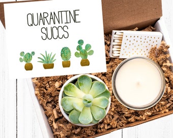 Quarantine Succs| Thinking of You Gift| Succulent Gift Box| Succulent Gift| Care Package| Gift for her| Gift Box| Gift for Friend