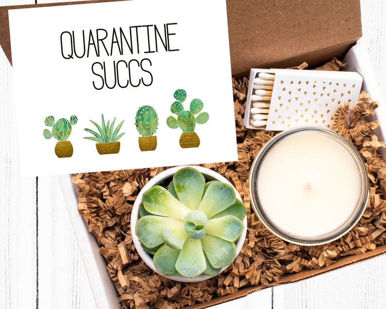 Quarantine Succs Thinking of You Gift Succulent Gift Box Etsy