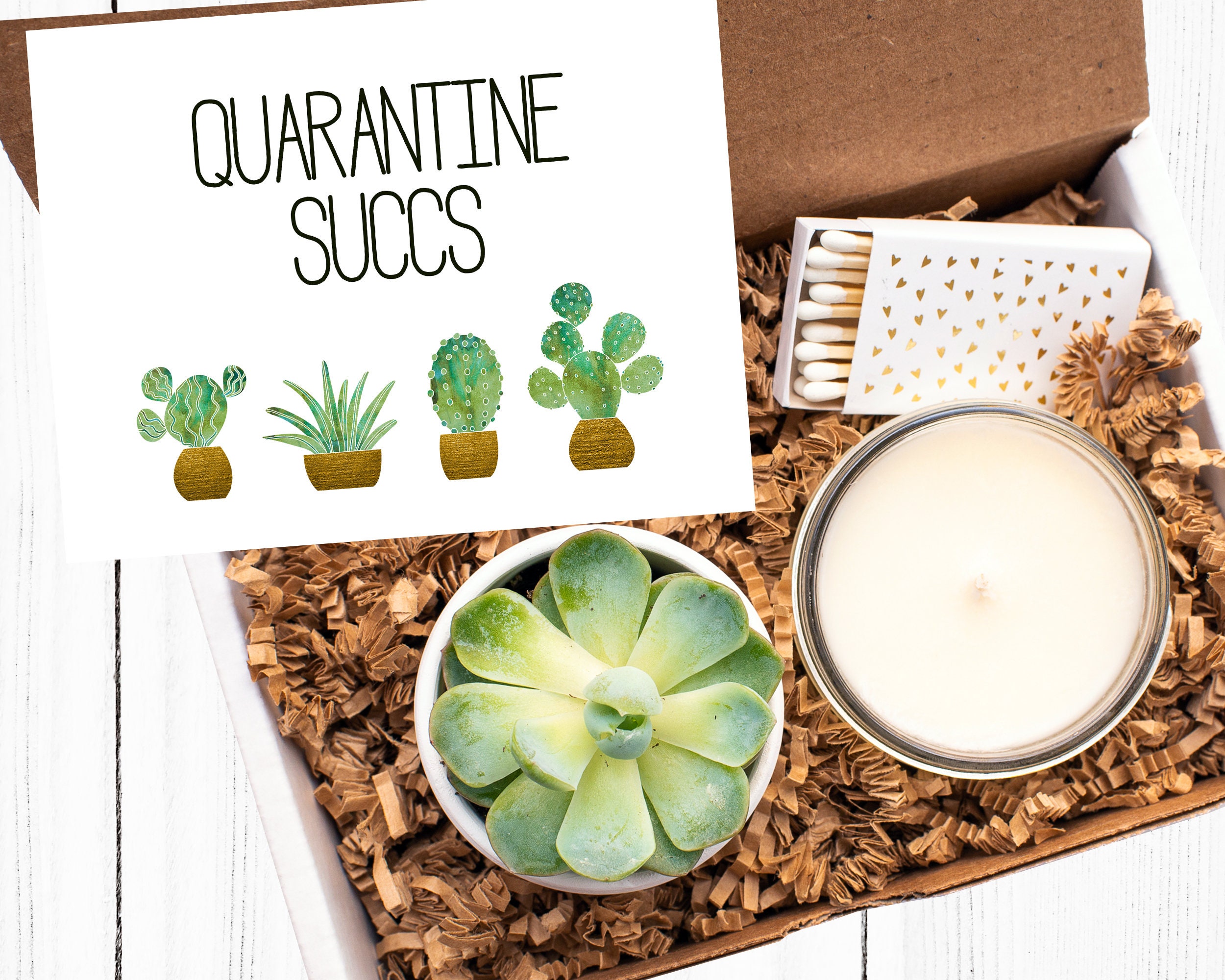 Quarantine Succs| Thinking of You Gift| Succulent Gift Box| Succulent…