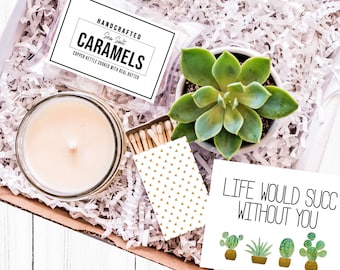 Life Would Succ Without You| Thinking of You Gift| Just Because Gift| Succulent Gift Box| Succulent Gift| Care Package| Gift for her