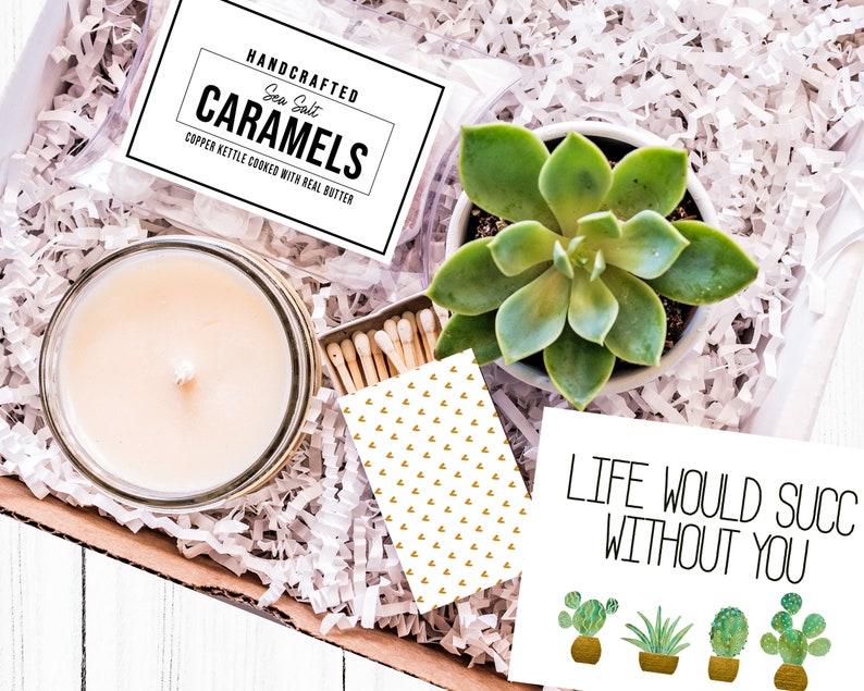 Life Would Succ Without You| Thinking of You Gift| Just Because Gift| Succulent Gift Box| Succulent Gift| Care Package| Gift for her 