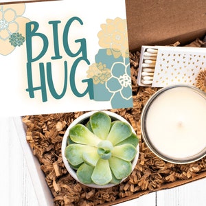 Big Hug Gift Box| Thinking of You Gift| Just Because Gift| Succulent Gift Box| Friendship Gift| Succulent Gift| Care Package| Gift for her