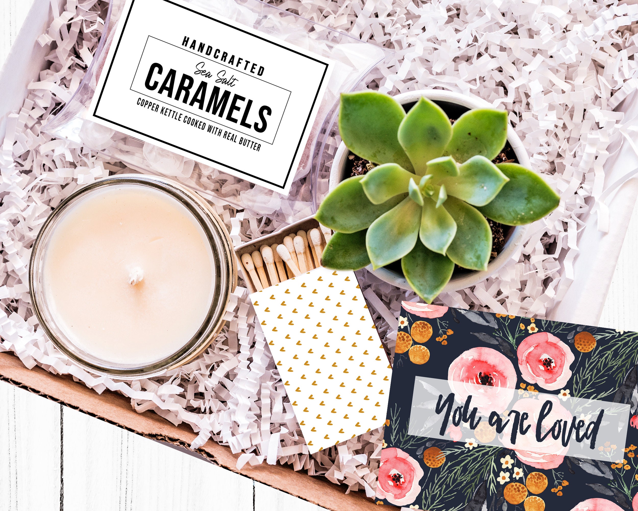You are Loved| Thinking of You Gift| Just Because Gift| Succulent Gif…