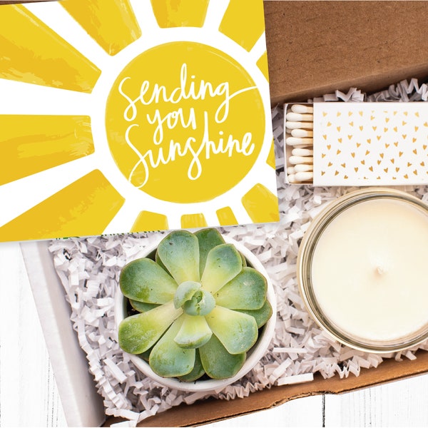 Sending You Sunshine Gift Box | Sending Sunshine | Get Well Gift Box | Surgery Gift | Recovery Gift | Succulent Gift Box | Care Package