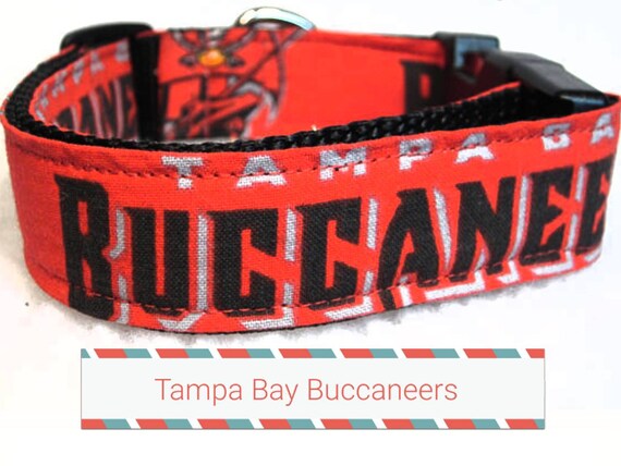 tampa bay bucs dog jersey