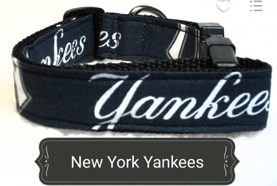 yankee dog collar