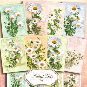 Margerite, margherita, stampabile, epherma, carte,ATC,B6,scrapbook, vintage, shabby chic, nostalgico, invito, biglietto d'auguri, biglietto da collezione, diario
