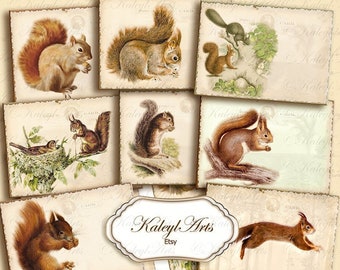 printable, squirrel, epherma, vintage, shabby chic, postcard, atc,b6,greeting card,trading card,journal,animals,invitation,planner,scrapbook