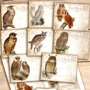 druckbar,Eule Uhu, Waldvogel,epherma, vintage, shabby chic, postkarte, ATC, B6, Grußkarte,Sammelkarte,journal,Einladung,Planer,scrapbook