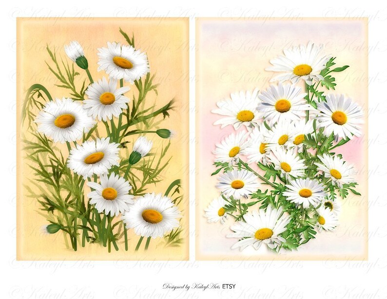 Marguerite Daisy Printable Epherma Cards ATC B6 Etsy