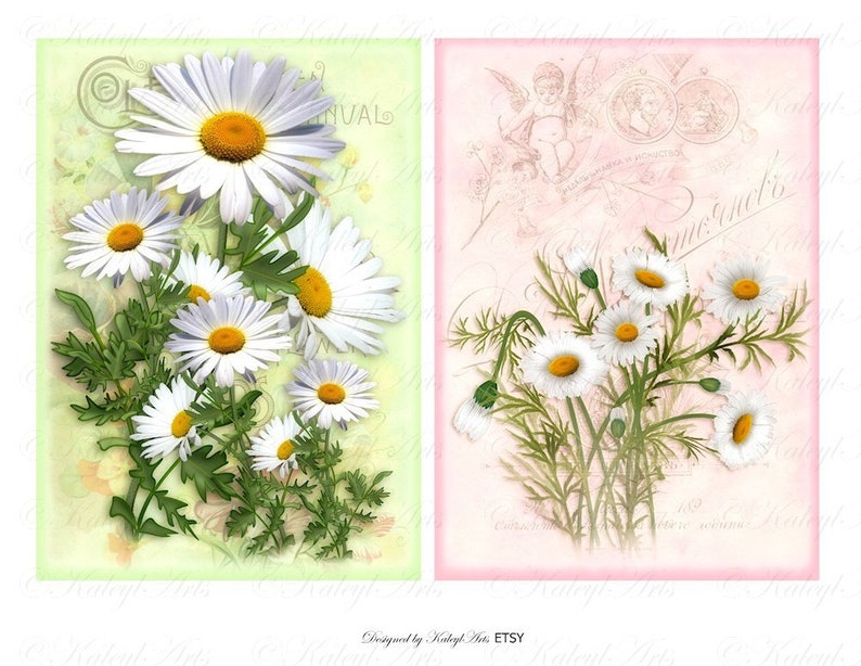 Marguerite Daisy Printable Epherma Cards ATC B6 Etsy