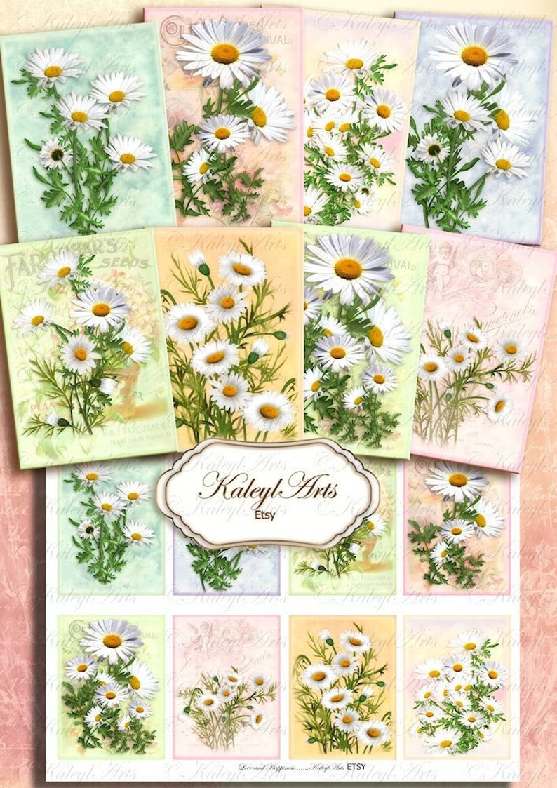 Marguerite Daisy Printable Epherma Cards ATC B6 Etsy