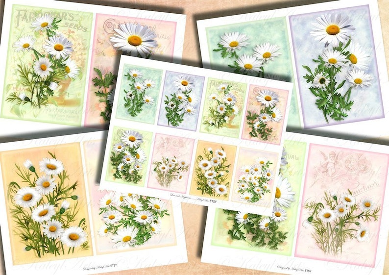 Marguerite Daisy Printable Epherma Cards ATC B6 Etsy
